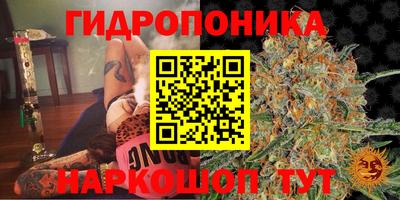ALPHA PVP Дубна