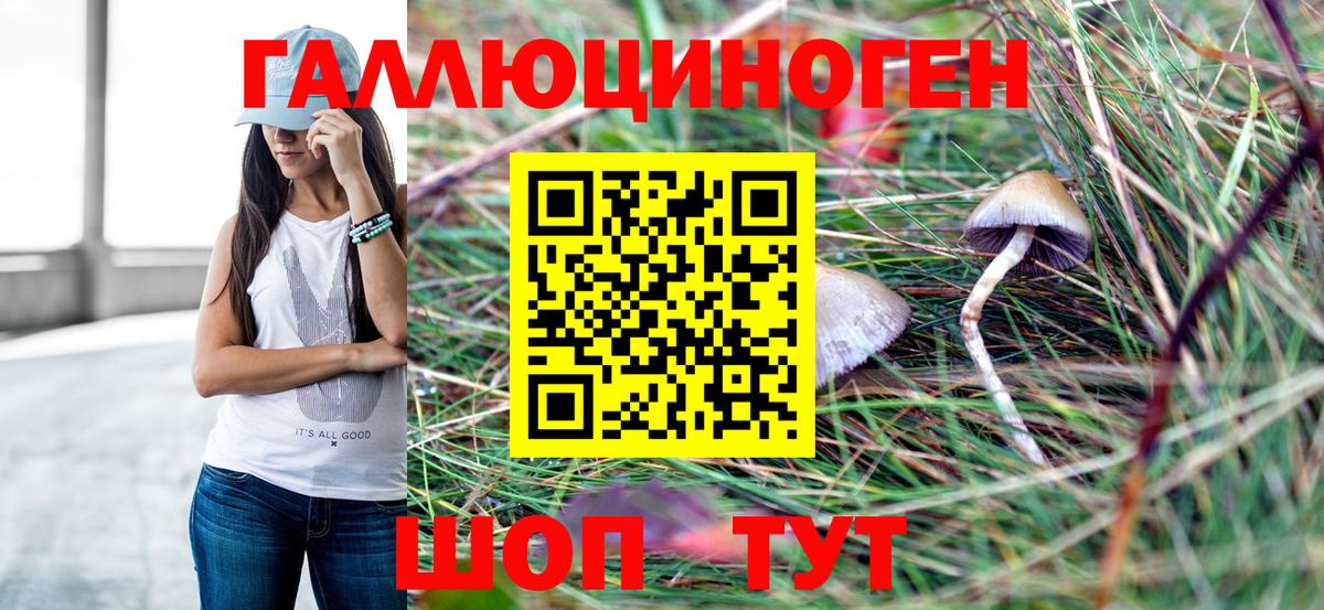 Галлюциногенные грибы Cubensis Новозыбков